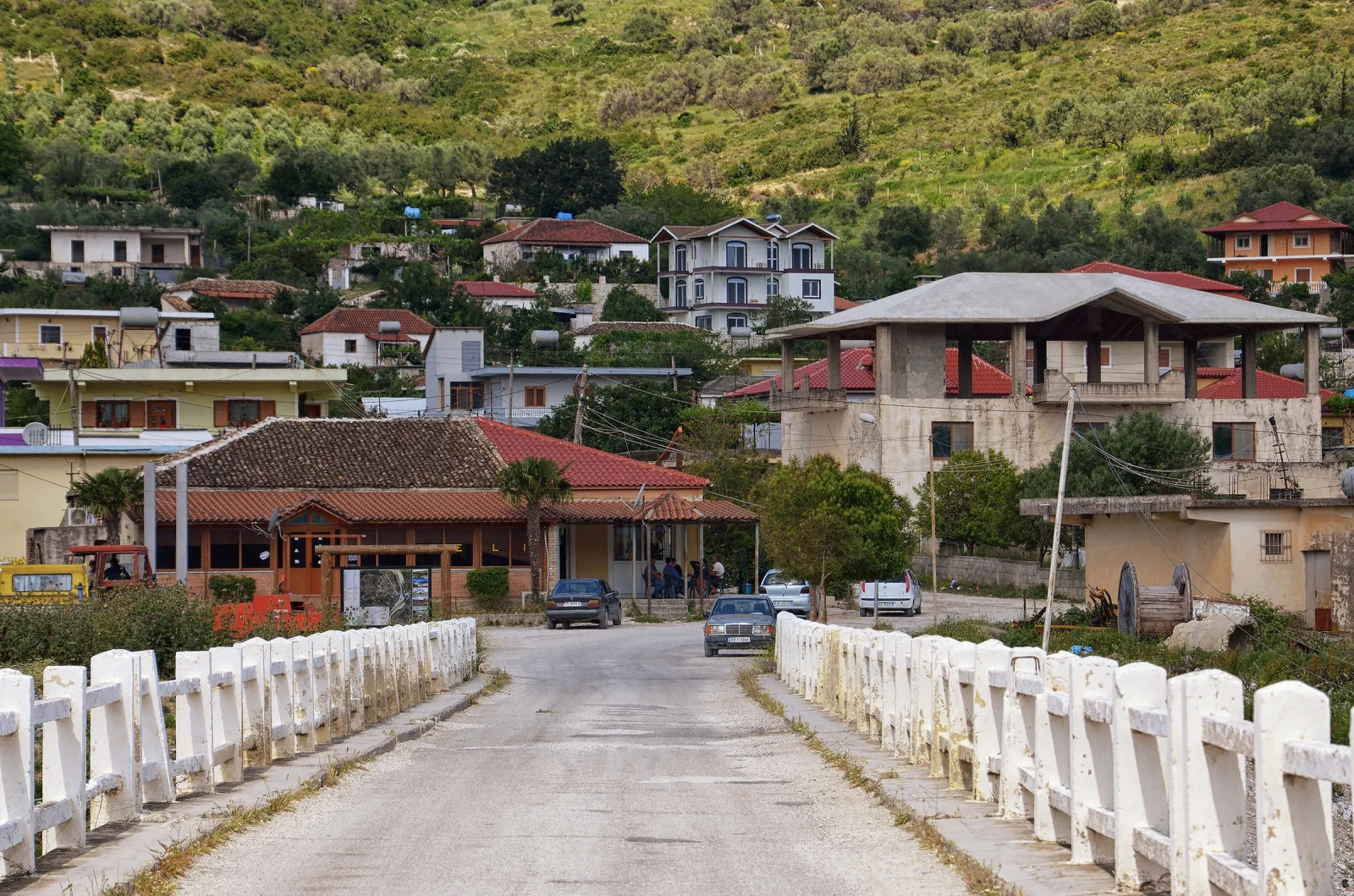 Selenicë