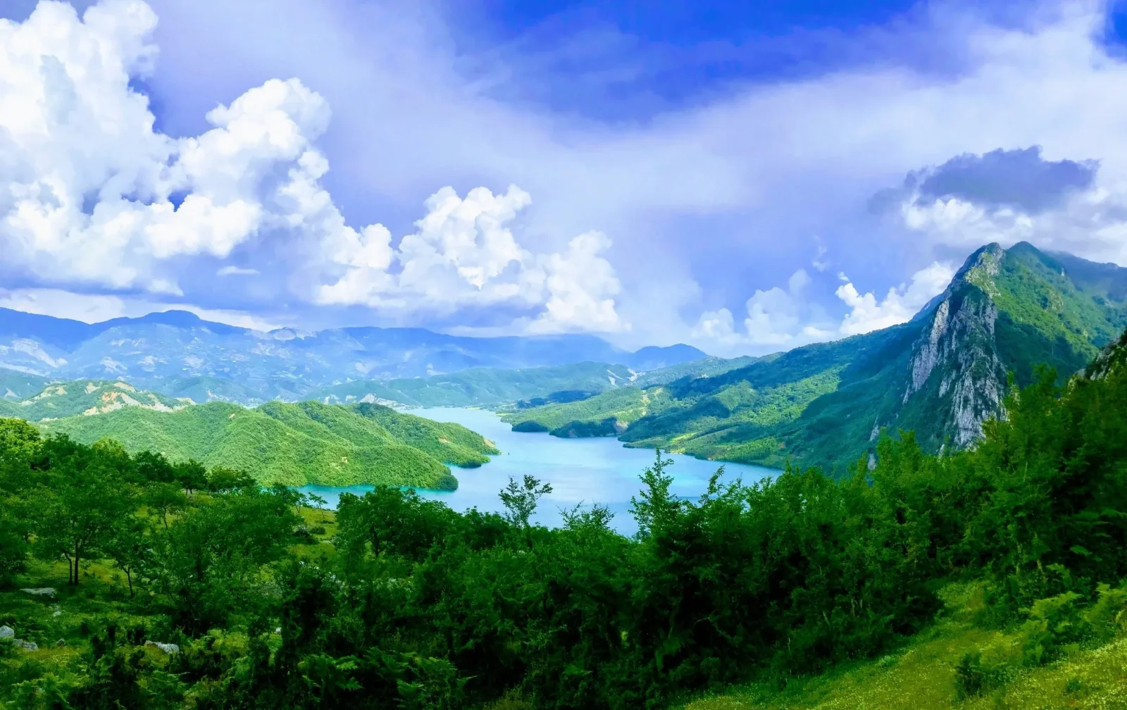 Gallery image for Bovila Lake Tour